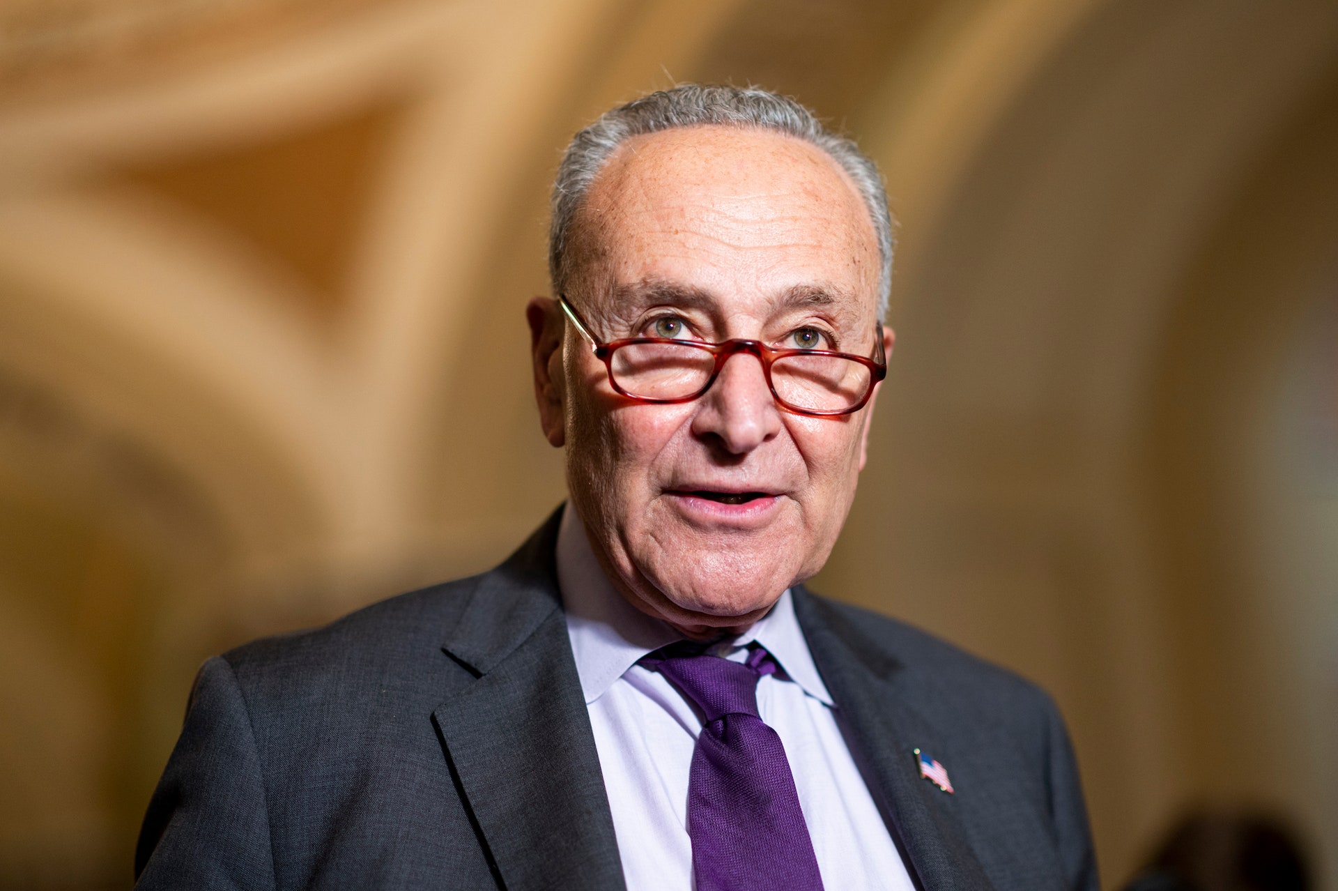 Chuck Schumer Blank Meme Template