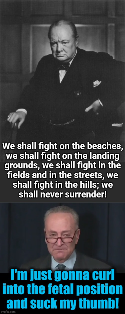 Real people fighting real Nazis compared to spineless democrats fighting their own shadows | We shall fight on the beaches,
we shall fight on the landing
grounds, we shall fight in the
fields and in the streets, we
shall fight in the hills; we
shall never surrender! I'm just gonna curl
into the fetal position
and suck my thumb! | image tagged in winston churchill,chuck schumer crying,memes,fight,democrats,spineless | made w/ Imgflip meme maker