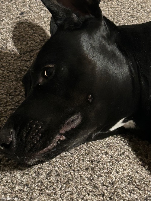 The side eye | made w/ Imgflip meme maker