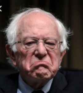 Bernie Blank Meme Template