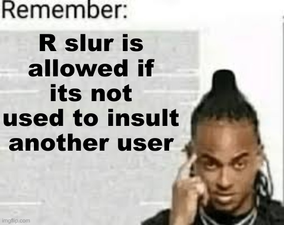 R slur is allowed if its not used to insult another user | made w/ Imgflip meme maker