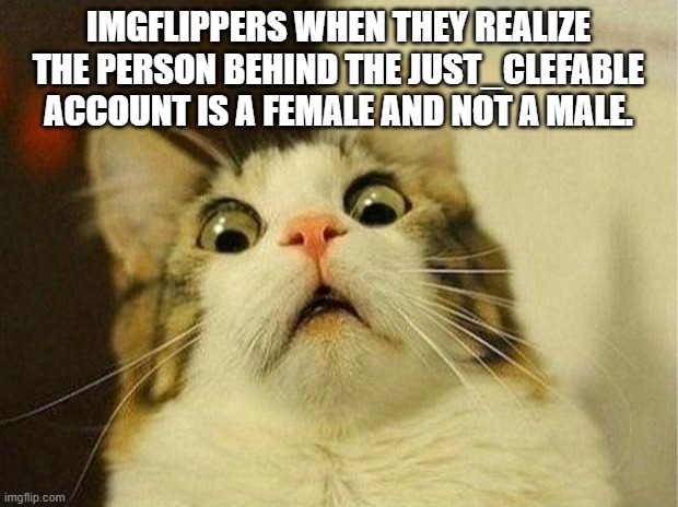 Scared Cat | IMGFLIPPERS WHEN THEY REALIZE THE PERSON BEHIND THE JUST_CLEFABLE ACCOUNT IS A FEMALE AND NOT A MALE. | image tagged in memes,scared cat | made w/ Imgflip meme maker