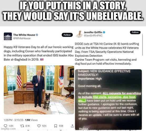 IF YOU PUT THIS IN A STORY, THEY WOULD SAY IT'S UNBELIEVABLE. | image tagged in doge,trump,veterans | made w/ Imgflip meme maker