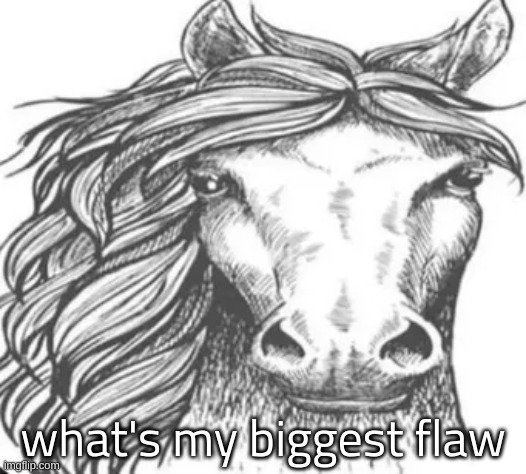 what's my biggest flaw | made w/ Imgflip meme maker