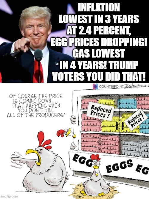 Trump voters you did that!! | INFLATION LOWEST IN 3 YEARS AT 2.4 PERCENT, EGG PRICES DROPPING! GAS LOWEST IN 4 YEARS! TRUMP VOTERS YOU DID THAT! | image tagged in why the chicken cross the road,rocket man | made w/ Imgflip meme maker