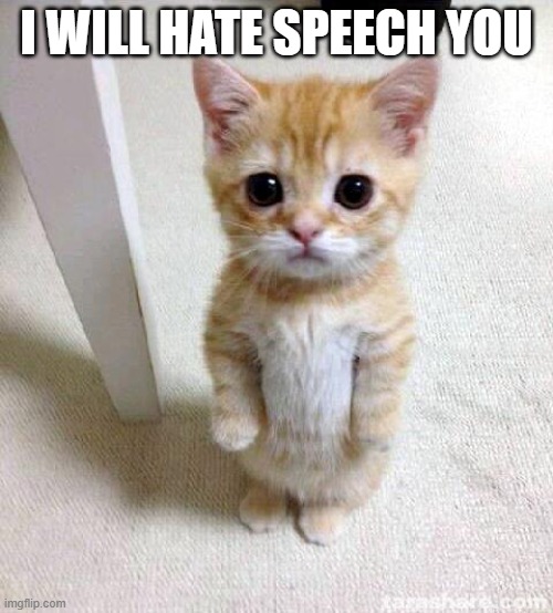 hypothetical title | I WILL HATE SPEECH YOU | image tagged in memes,cute cat,hate speech,low taper fade | made w/ Imgflip meme maker