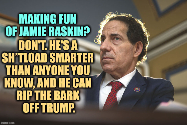 DON'T. HE'S A 
SH*TLOAD SMARTER 
THAN ANYONE YOU 
KNOW, AND HE CAN 
RIP THE BARK 
OFF TRUMP. MAKING FUN OF JAMIE RASKIN? | image tagged in jamie raskin,smart,trump,dumb | made w/ Imgflip meme maker