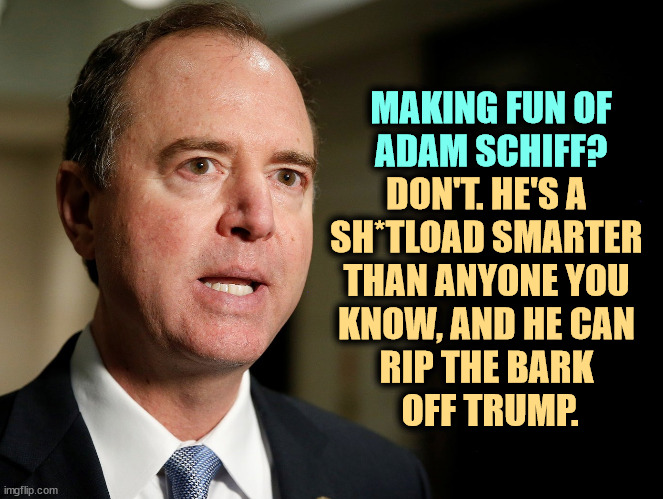 MAKING FUN OF

ADAM SCHIFF? DON'T. HE'S A 
SH*TLOAD SMARTER 
THAN ANYONE YOU 
KNOW, AND HE CAN 
RIP THE BARK 
OFF TRUMP. | image tagged in adam schiff,smart,trump,dumb | made w/ Imgflip meme maker