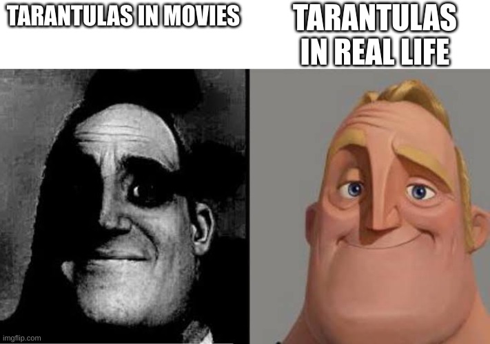 Fun Fact: There's no record of a tarantula killing a human | TARANTULAS IN REAL LIFE; TARANTULAS IN MOVIES | image tagged in uncanny mr incredible reversed,spiders,tarantula,wholesome | made w/ Imgflip meme maker