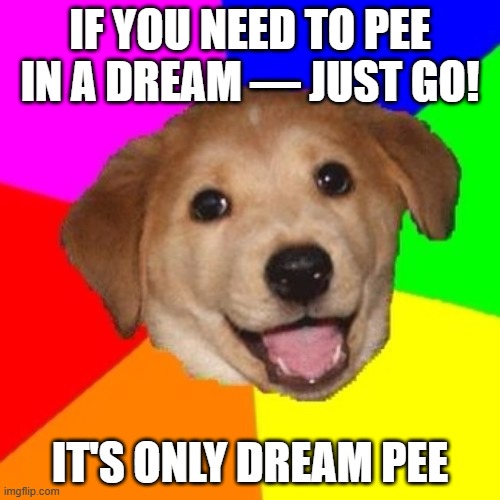 DREAM PEE | IF YOU NEED TO PEE IN A DREAM — JUST GO! IT'S ONLY DREAM PEE | image tagged in bad advice dog | made w/ Imgflip meme maker