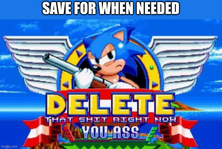 save for when needed | SAVE FOR WHEN NEEDED | image tagged in sonic the hedgehog,sonic,delete,delete this | made w/ Imgflip meme maker