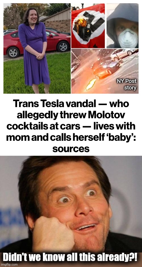 A news report with absolutely NO surprises | NY Post
story; Didn't we know all this already?! | image tagged in duh,memes,tesla,vandal,transgender,democrats | made w/ Imgflip meme maker