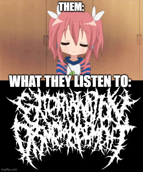 THEM:; WHAT THEY LISTEN TO: | made w/ Imgflip meme maker