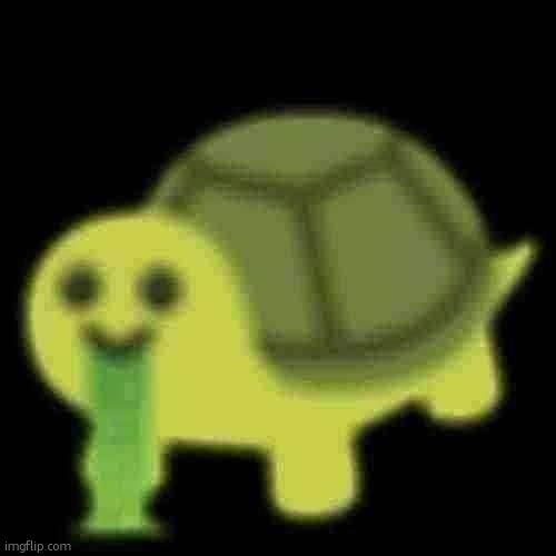 low quality turtle funne | image tagged in turtle funne | made w/ Imgflip meme maker