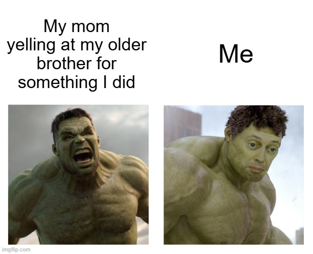 Don't say anything | Me; My mom yelling at my older brother for something I did | image tagged in hulk angry then realizes he's wrong,memes,relatable,sibling rivalry | made w/ Imgflip meme maker