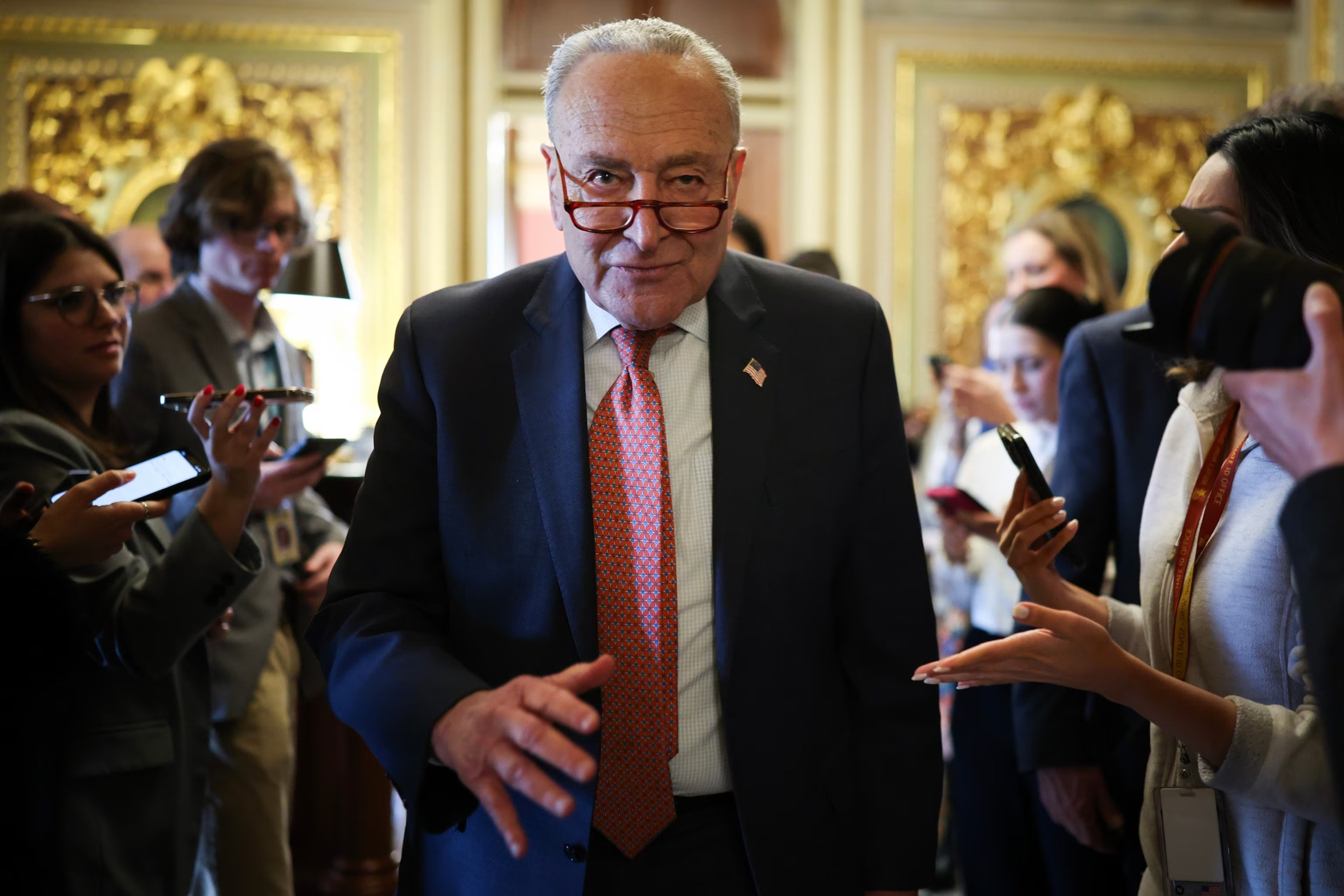 Chuck Schumer Blank Meme Template