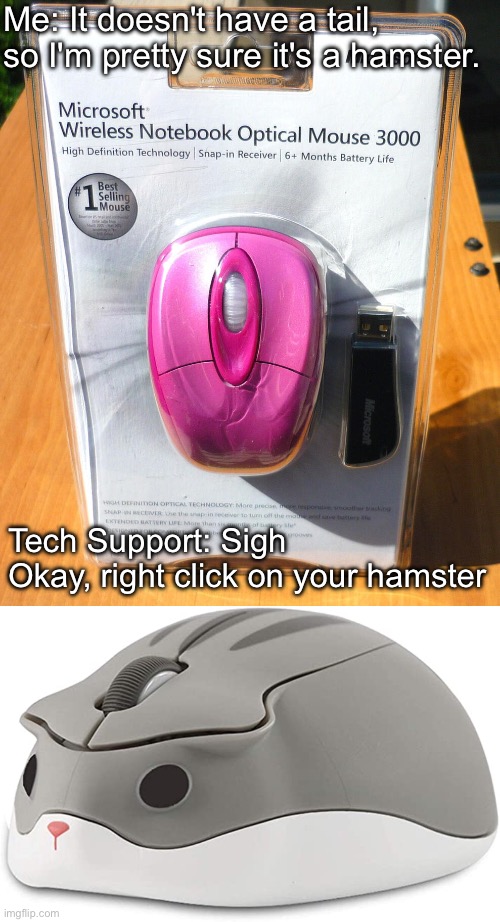 Right clicking noises | Me: It doesn't have a tail, so I'm pretty sure it's a hamster. Tech Support: Sigh
Okay, right click on your hamster | image tagged in computer mouse,hamster as a computer mouse,tech support | made w/ Imgflip meme maker