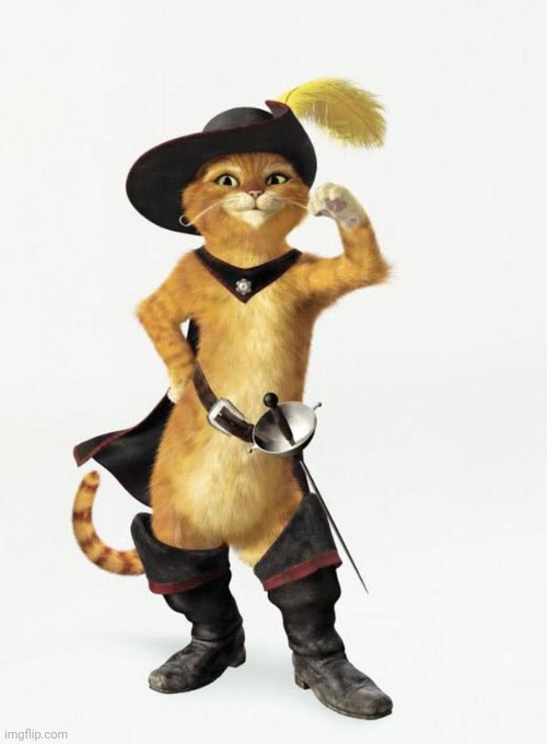 Puss in Boots | image tagged in puss in boots | made w/ Imgflip meme maker