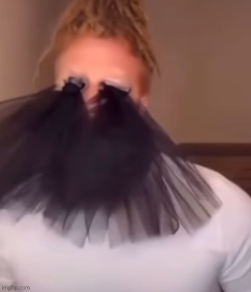 i let my eyelashes grow a lil how do i look | made w/ Imgflip meme maker