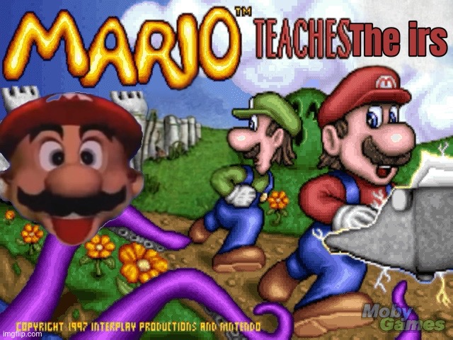 Mario teaching the irs | image tagged in funny | made w/ Imgflip meme maker