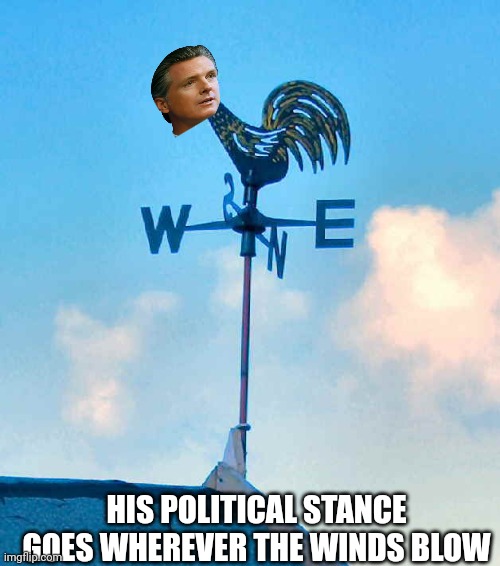 A truly stand for nothing politician | HIS POLITICAL STANCE GOES WHEREVER THE WINDS BLOW | image tagged in weather vane | made w/ Imgflip meme maker