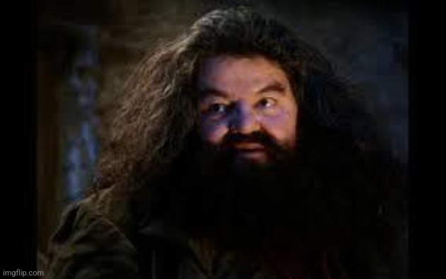 hagrid yer a wizard | image tagged in hagrid yer a wizard | made w/ Imgflip meme maker