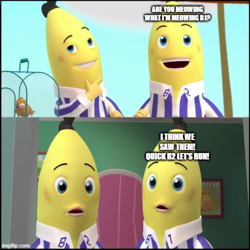B1 and B2's first unlikely be in.... | ARE YOU MEOWING WHAT I'M MEOWING B1? I THINK WE SAW THEM! QUICK B2 LET'S RUN! | image tagged in b1 b2 | made w/ Imgflip meme maker