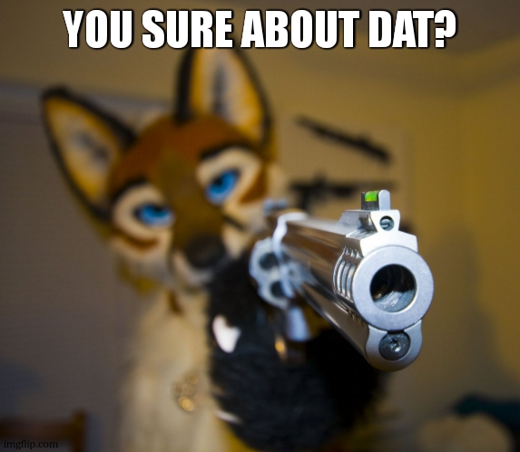 Furry with gun | YOU SURE ABOUT DAT? | image tagged in furry with gun | made w/ Imgflip meme maker