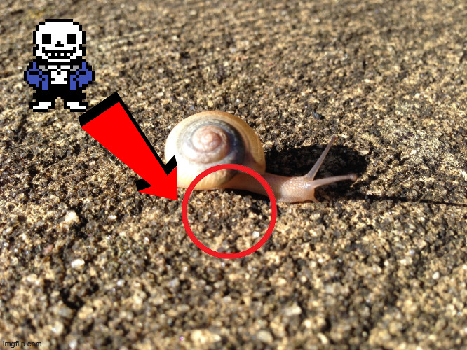 SAND UNDER SNAIL??? | made w/ Imgflip meme maker