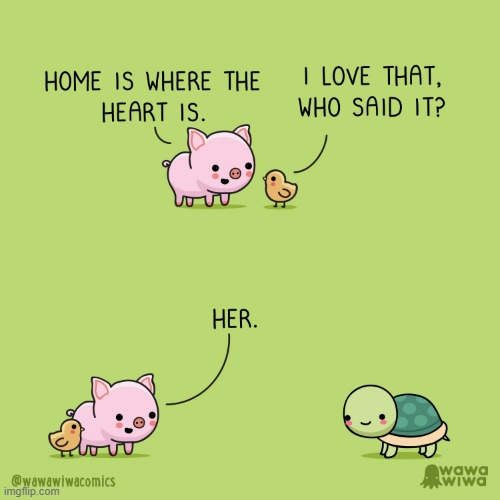 image tagged in pig,chick,home,heart,turtle,shell | made w/ Imgflip meme maker