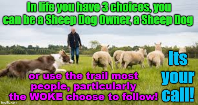 Life offers people 3 choices, you can be a Sheep Dog Owner, a Sheep Dog or one of the Sheep. Your call. | In life you have 3 choices, you can be a Sheep Dog Owner, a Sheep Dog; Yarra Man; Its your call! or use the trail most people, particularly the WOKE choose to follow! | image tagged in woke,united islamic nations,european islamic union,united islamic kingdowm,the fall of europe,progressives | made w/ Imgflip meme maker