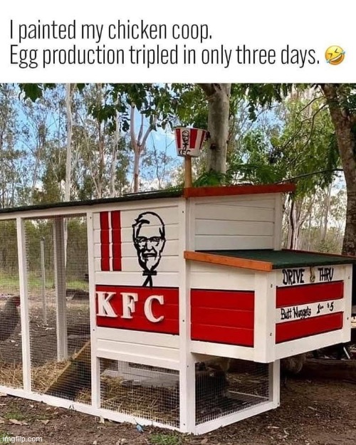 Finger lickin’ good | image tagged in kfc,chickens,eggs | made w/ Imgflip meme maker