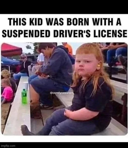 image tagged in kid,hair,suspended,drivers license | made w/ Imgflip meme maker