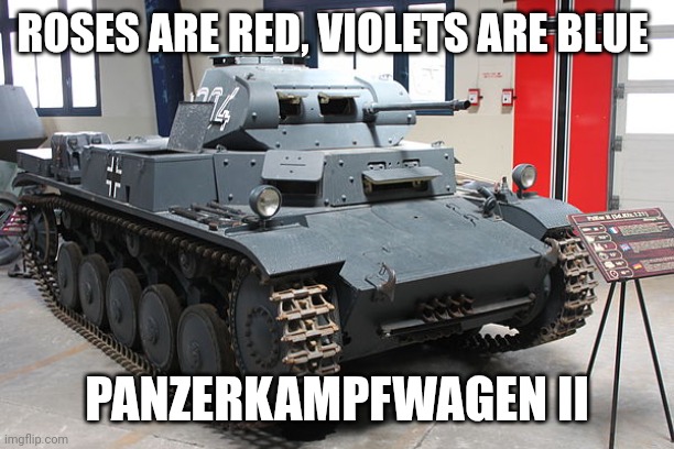 Panzerkampfwagen II | ROSES ARE RED, VIOLETS ARE BLUE; PANZERKAMPFWAGEN II | image tagged in panzerkampfwagen ii | made w/ Imgflip meme maker