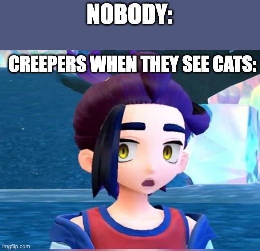 Suprised Kieran face | NOBODY:; CREEPERS WHEN THEY SEE CATS: | image tagged in suprised kieran face | made w/ Imgflip meme maker