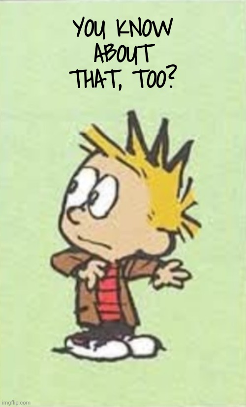 WT? | YOU KNOW ABOUT THAT, TOO? | image tagged in wt | made w/ Imgflip meme maker