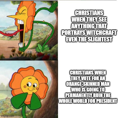 The Bible is the most toxic fandom ever change my mind. | CHRISTIANS WHEN THEY SEE ANYTHING THAT PORTRAYS WITCHCRAFT EVEN THE SLIGHTEST; CHRISTIANS WHEN THEY VOTE FOR AN ORANGE-SKINNED MAN WHO IS GOING TO PERMANENTLY RUIN THE WHOLE WORLD FOR PRESIDENT | image tagged in cuphead flower,funny,memes,dark humor,christianity,donald trump | made w/ Imgflip meme maker