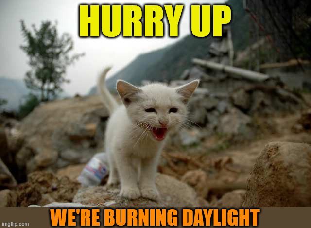 This mountain won't climb itself | HURRY UP; WE'RE BURNING DAYLIGHT | image tagged in cats,hiking,mountain climbing,springtime,silly cat,hurry up | made w/ Imgflip meme maker