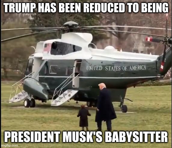 Babysitter | TRUMP HAS BEEN REDUCED TO BEING; PRESIDENT MUSK'S BABYSITTER | image tagged in musk,trump,gop,maga,nazi,fascists | made w/ Imgflip meme maker