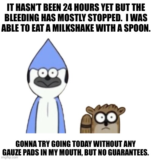 Documenting this because I can | IT HASN’T BEEN 24 HOURS YET BUT THE
BLEEDING HAS MOSTLY STOPPED.  I WAS
ABLE TO EAT A MILKSHAKE WITH A SPOON. GONNA TRY GOING TODAY WITHOUT ANY GAUZE PADS IN MY MOUTH, BUT NO GUARANTEES. | image tagged in haste broken worlds is awesome | made w/ Imgflip meme maker