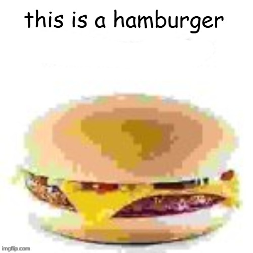 hamburger | this is a hamburger | image tagged in hamburger | made w/ Imgflip meme maker