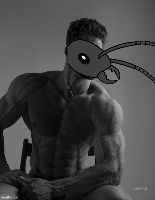 Giga Chad | image tagged in giga chad | made w/ Imgflip meme maker