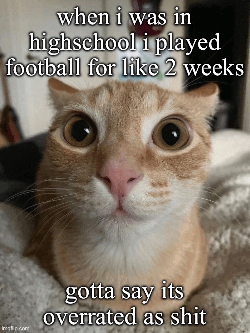 kitty | when i was in highschool i played football for like 2 weeks; gotta say its overrated as shit | image tagged in kitty | made w/ Imgflip meme maker