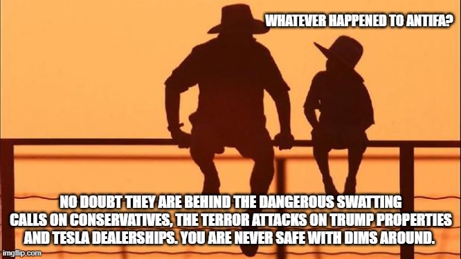 Cowboy wisdom, democrats are as violent as ever | WHATEVER HAPPENED TO ANTIFA? NO DOUBT THEY ARE BEHIND THE DANGEROUS SWATTING CALLS ON CONSERVATIVES, THE TERROR ATTACKS ON TRUMP PROPERTIES AND TESLA DEALERSHIPS. YOU ARE NEVER SAFE WITH DIMS AROUND. | image tagged in cowboy father and son,cowboy wisdom,democrat war on america,antifa,the violence party,know them | made w/ Imgflip meme maker