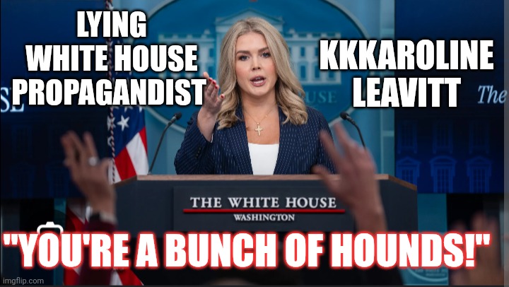 LYING WHITE HOUSE PROPAGANDIST; KKKAROLINE LEAVITT; "YOU'RE A BUNCH OF HOUNDS!" | made w/ Imgflip meme maker