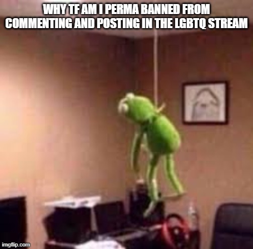 why | WHY TF AM I PERMA BANNED FROM COMMENTING AND POSTING IN THE LGBTQ STREAM | image tagged in lgbtq,memes,meme,funny,ban,banned | made w/ Imgflip meme maker