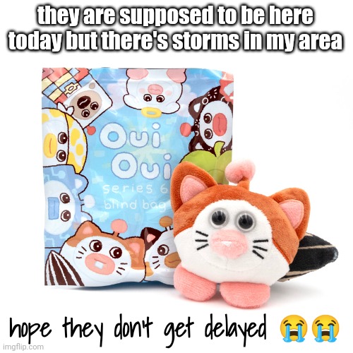 OuiOui Series 6 Blindbag | they are supposed to be here today but there's storms in my area; hope they don't get delayed 😭😭 | image tagged in ouioui series 6 blindbag | made w/ Imgflip meme maker