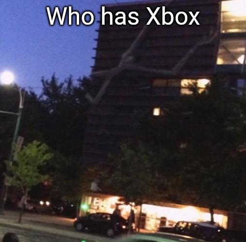 GET THE FUCK DOWN FROM THERE | Who has Xbox | image tagged in get the fuck down from there | made w/ Imgflip meme maker