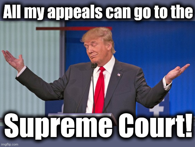 trump shrugging shoulders | All my appeals can go to the Supreme Court! | image tagged in trump shrugging shoulders | made w/ Imgflip meme maker