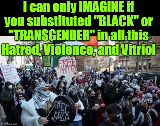 How would the Libs feel about "Free Speech" then ? | I can only IMAGINE if you substituted "BLACK" or "TRANSGENDER" in all this Hatred, Violence, and Vitriol | image tagged in hamas protestors black transgender meme | made w/ Imgflip meme maker
